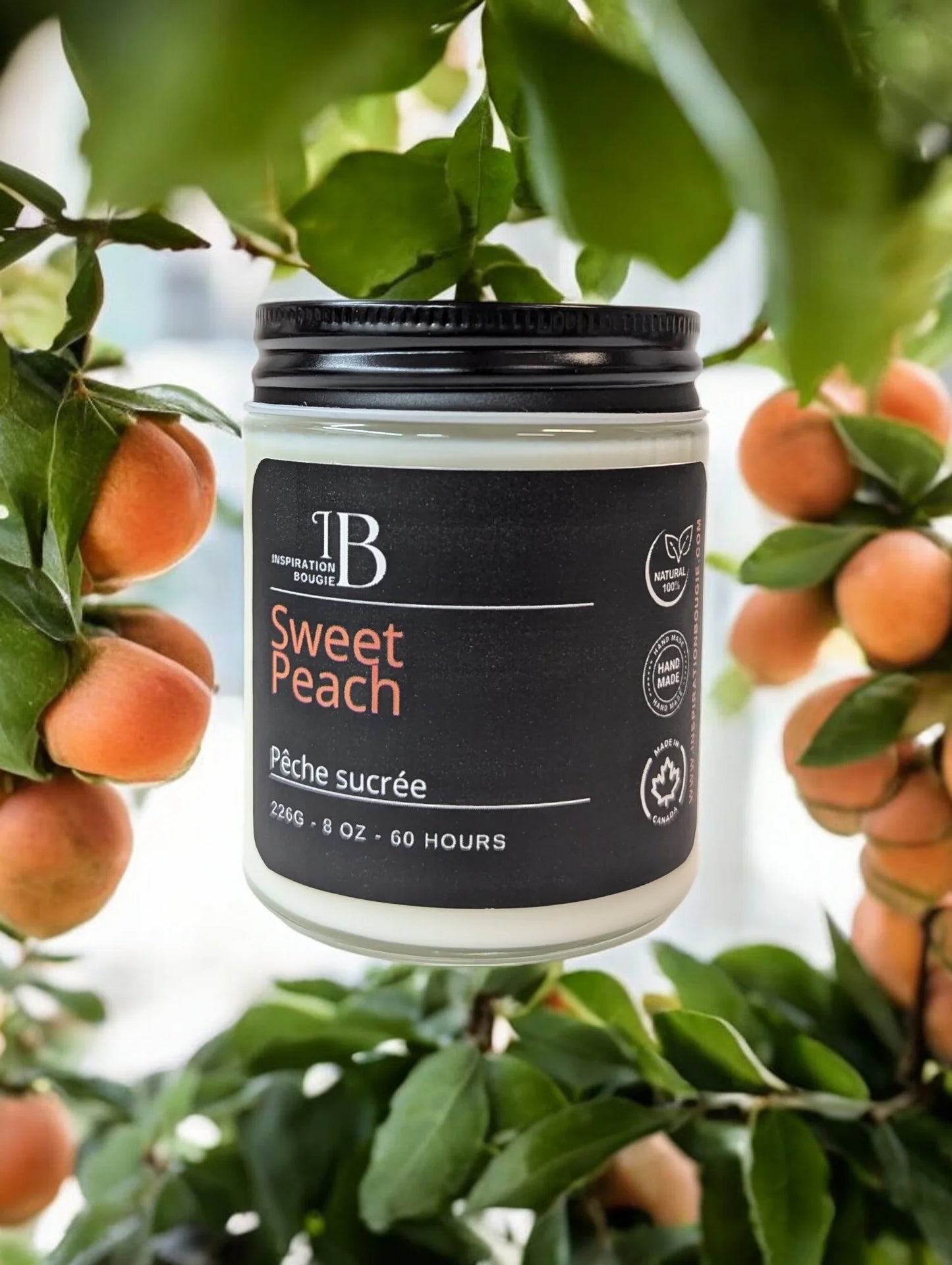 Sweet Peach | 8oz Candle